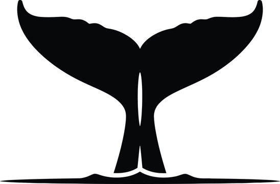 A black silhouette of a whale's fluke