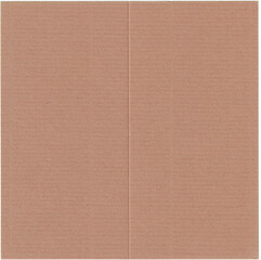 Fototapeta premium Kraft Paper Carton