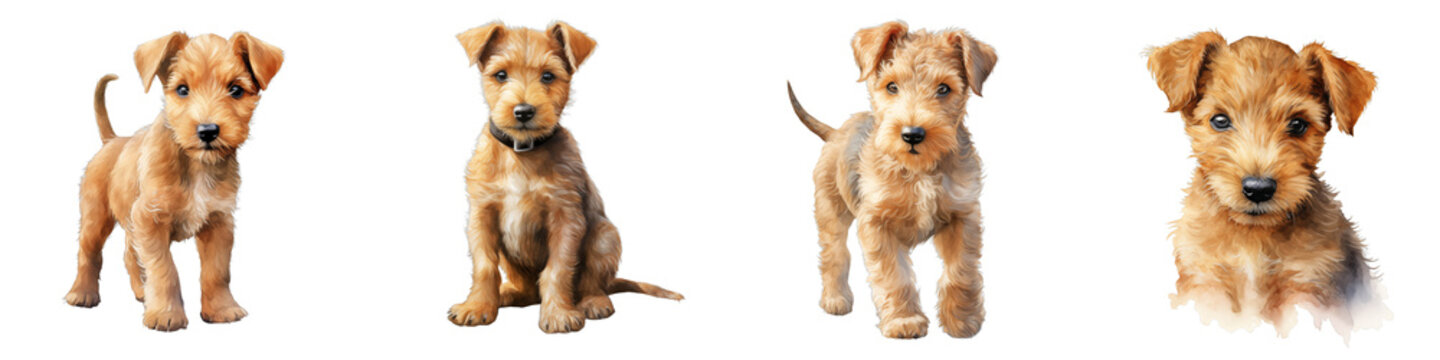 Portraits of playful airedale terrier puppies with lively expressions on a black background