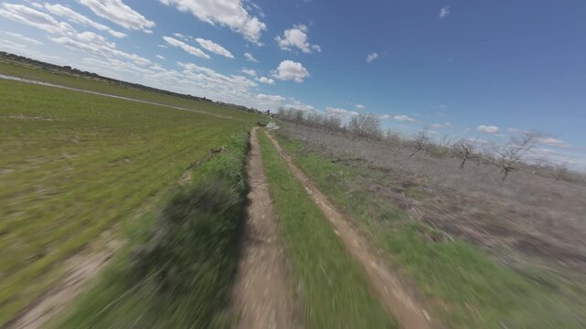 Vuelo de dron en prado verde