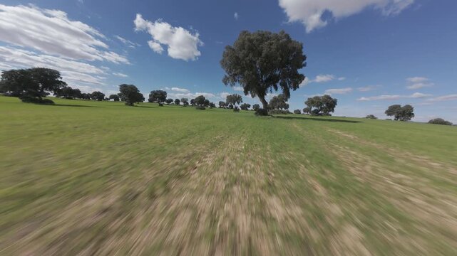 Vuelo de dron en prado verde