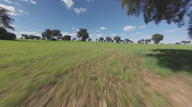 Vuelo de dron en prado verde