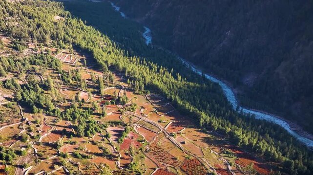 Aerial view of Deforestration for agricultural land-use change in the Himalayas, India