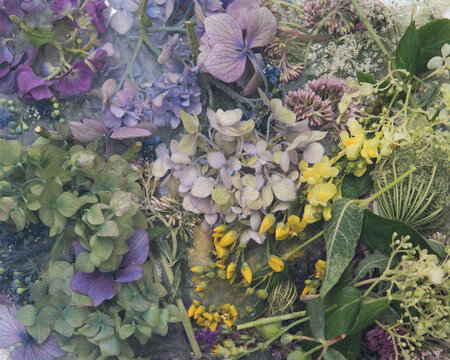 summer bloom tapestry background with hydrangea, hortensia and wildflowers