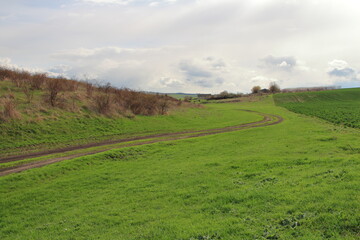 Fototapeta premium A dirt road through a grassy field