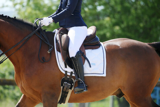 Close-up of a dressage horse under saddle at a summer competition. Beautiful quality leather saddle