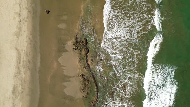 Aerial top down view of a horse walking on the beach shoreline in Mancora, Peru