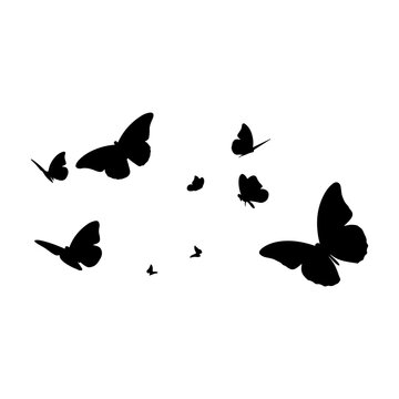Set of butterflies silhouette vector isolated on transparent background
