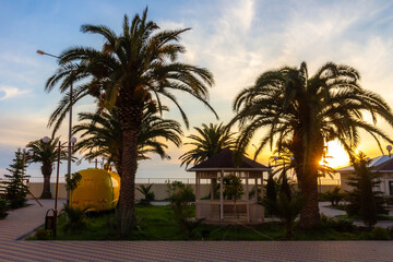 Fototapeta premium Scenic tropical landscape in Gagra with lush palm trees and a wooden gazebo at sunset. Beautiful park embankment along the Black Sea coast under a warm evening sky on a sunny spring day. Abkhazia.