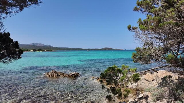 Turquoise sea framed by trees coastal view Italy Sardinian Rena Bianca 