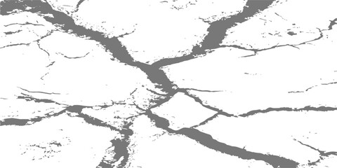 Obraz premium abstract black and white distressed texture of cracked earth and peeling paint for grunge background designs