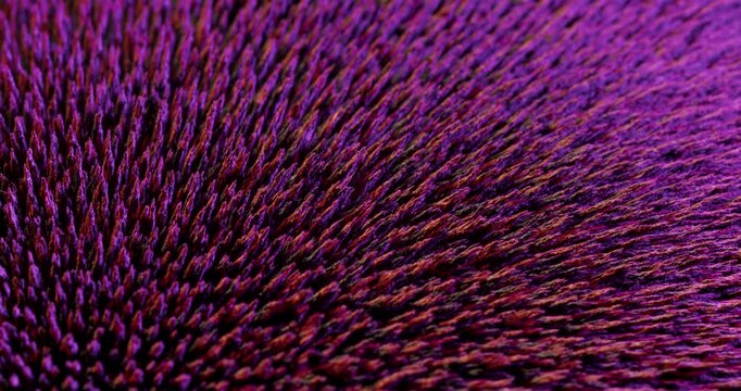 This captivating visualization shows metal particles reacting to magnetic fields, serving as a resource for motion graphics and creative projects requiring visual appeal and innovation