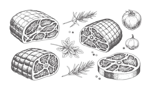 Hand drawn raw meat cuts steaks roasts herbs and spices beef