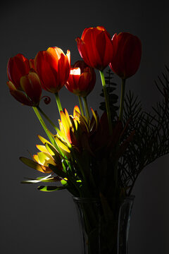 An arrangement of tulips in a vase with light and shadow