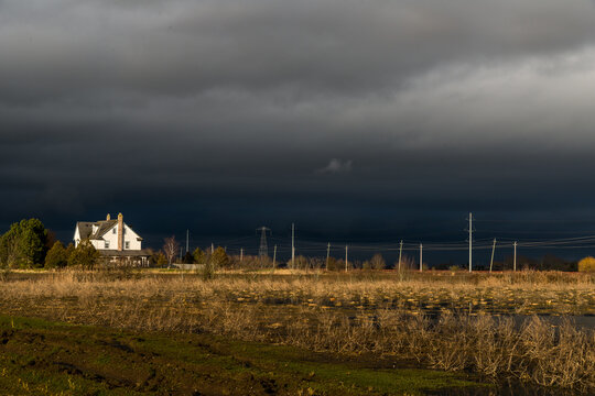 Canada, BC, Delta, Ladner.  Dramatic afternoon light illuminates bare trees, power poles and farmhouse in rural area south of Vancouver.