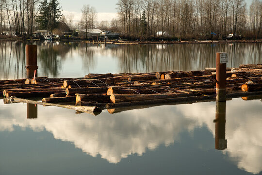 Canada, BC, Vancouver.  Log boom and clouds reflecting in still water of the Fraser River.