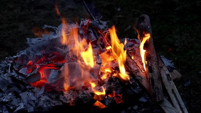 close-up of burning material in a fire. Bright orange flames actively consuming the material, likely cardboard or paper. This could be part of a campfire, fire pit, or burn pile.
