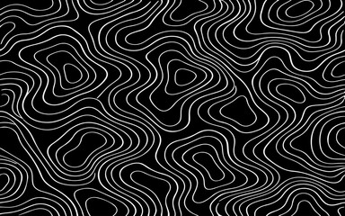 Fototapeta premium Minimalist abstract topographic contour pattern, smooth flowing elevation lines forming organic shapes, monochrome black lines on a light gray background