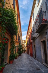Fototapeta premium Charming narrow street where colorful historic buildings meet lush floral displays.