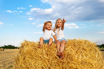 Two cute adorable caucasian siblings enjoy having fun sitting on top over golden hay bale on wheat harvested field near farm. Happy childhood and freedom concept. Rural countryside scenic landscape © Kyryl Gorlov
