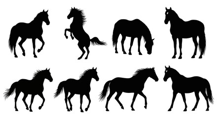 Obraz premium Horse silhouettes, black horse icons, equine vector set, 8 horse shapes
