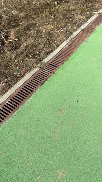 Closeup sports field drainage grate showing rusted iron slots, debris lodged along turf edge, concrete border, textured artificial.
