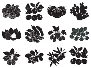 set of black floral decorative elements and botanical silhouettes on white background © Arif's Creation