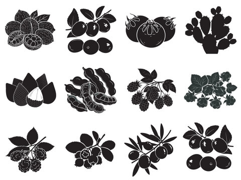 set of black floral decorative elements and botanical silhouettes on white background