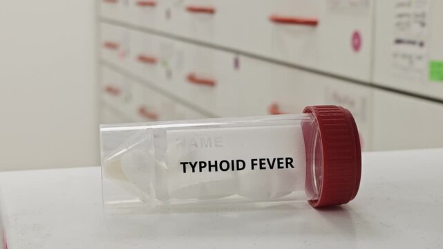 TYPHOID FEVER treatment tablets used to eliminate salmonella typhi infection