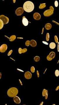 Falling bitcoin coins on transparent background, seamless slow motion loop