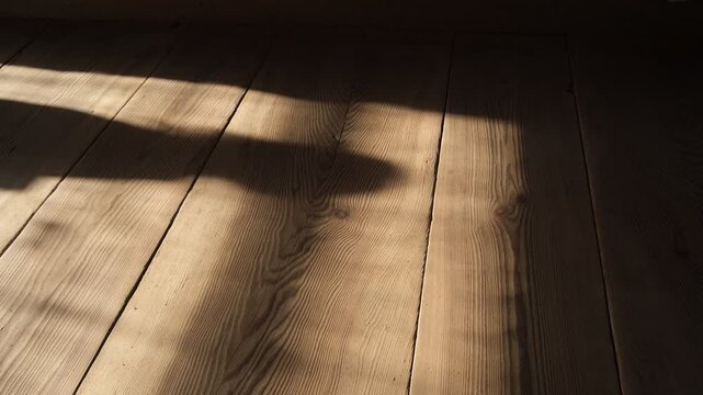 Silent Light and Shadow on Wooden Floor with Silhouettes in Japanese Shrine