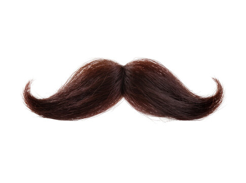 Isolated brown luxurious artificial mustache with curly ends for costume party or fun accessory