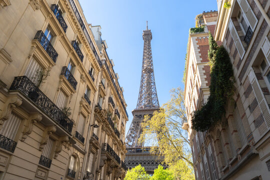 Low angle view of Eiffel Tower framed by classic Parisian buildings under clear blue sky, iconic landmark, urban architecture, travel destination in Paris France.