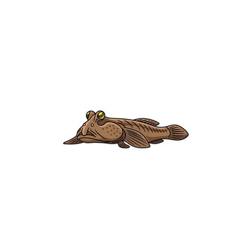 Simple isolated mudskipper fish icon. Vector illustration of a unique amphibious creature with prominent eyes, ideal for nature-themed designs