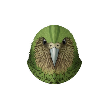 Minimalist Kākāpō parrot head icon illustration, a unique New Zealand bird with vibrant green feathers and a distinctive look