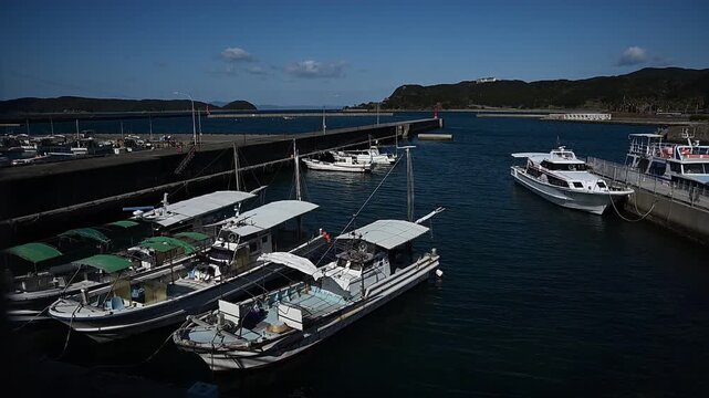 冬の加太港 （和歌山県和歌山市, 2026年1月）