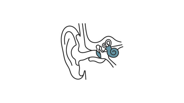 Detailed Diagram of the Human Ear Anatomy with Cochlea Highlighted.