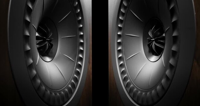Bass Vibrations on Vintage Speaker Cone