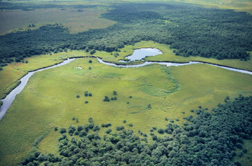 空から見るチルワツナイ川（北海道・鶴居村）  © 愛 高行