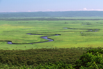 夏の釧路湿原（北海道・鶴居村）  © 愛 高行