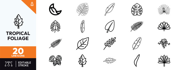 Set of twenty minimalist outline icons featuring diverse tropical leaves including monstera palm banana and fern foliage for botanical branding web design and natural pattern creation © Deezora