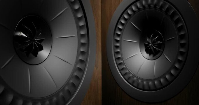 Slow Motion Vintage Speaker Vibration