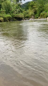 river in the forest