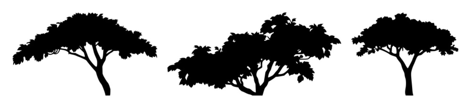 Rainforest canopy protection set with solid black icon on white background featuring eco, sustainability, nature with graphics and illustration