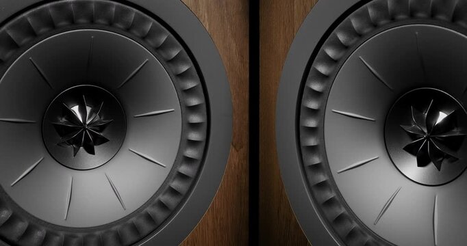 Loudspeaker Woofer Flexing with Music