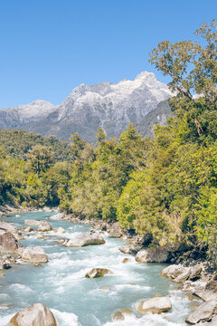 Hornopir&eacute;n, Chile - March 20, 2026: The Blanco River, with its turquoise waters, flows through the lush nature of Chilean Patagonia. The majestic Cerro Cholila can be seen in the mountains.