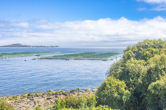 Los Lagos Region, Chile - March 20, 2026: Chilean salmon farm seen from the Carretera Austral, in Chilean Patagonia.
