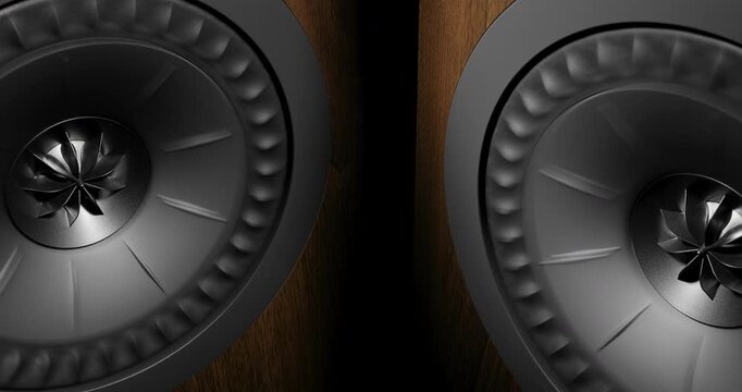 Rhythmic Woofer Movement Close-Up
