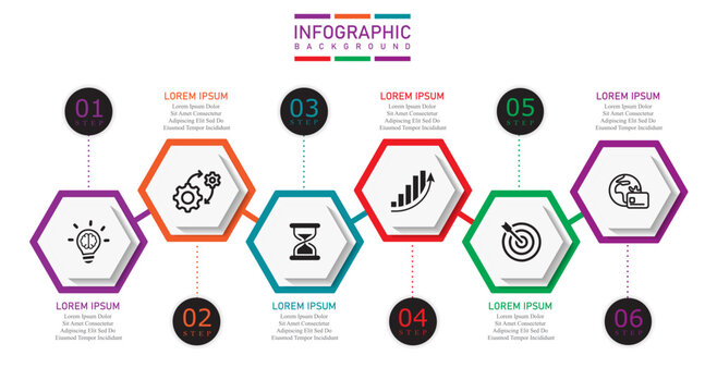 Minimal infographic template with line icons, modern business data visualization, clean layout design, workflow steps diagram, presentation background, corporate marketing chart vector