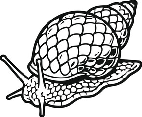 Fototapeta premium Line art vector illustration of a crawling snail